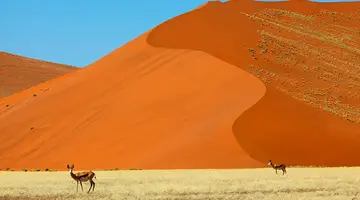 Namibia- Pomarańczowe Wydmy