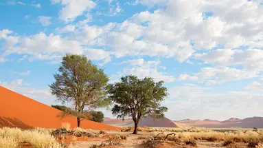 Namibia- Pomarańczowe Wydmy