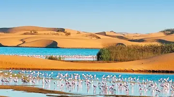 Namibia- Pomarańczowe Wydmy