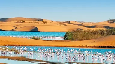 Namibia- Pomarańczowe Wydmy