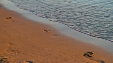 NANA GOLDEN BEACH
