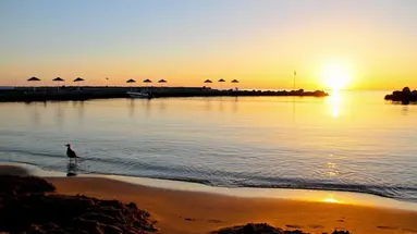 NANA GOLDEN BEACH