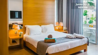 Napa Plaza Hotel
