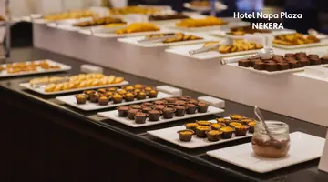 Napa Plaza Hotel