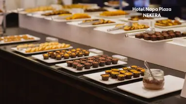 Napa Plaza Hotel