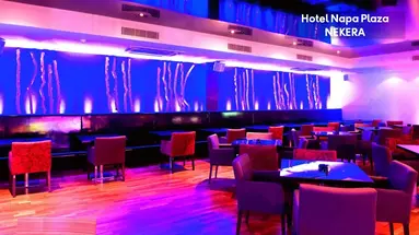 Napa Plaza Hotel