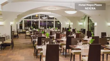 Napa Plaza Hotel