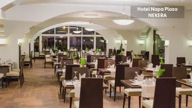Napa Plaza Hotel