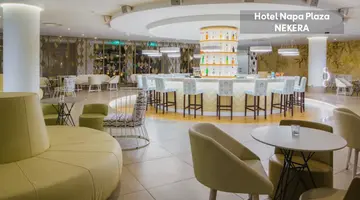 Napa Plaza Hotel