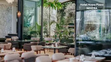 Napa Plaza Hotel