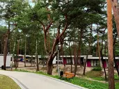 NAT Krynica Morska