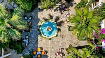 Natur Garden