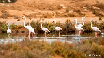 Natura Algarve I Zabytki Andaluzji