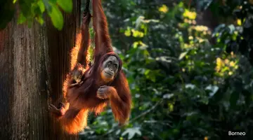 Naturalne piekno Indonezji
