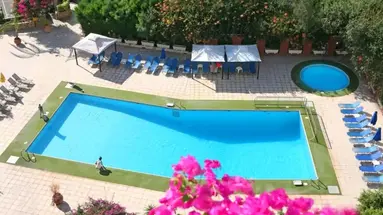 Navarria Blue