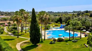 Navigator Palm Oasis