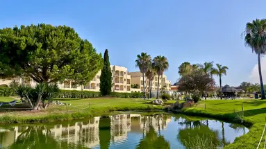 Navigator Palm Oasis