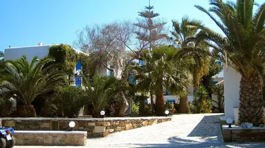 Naxos Holidays