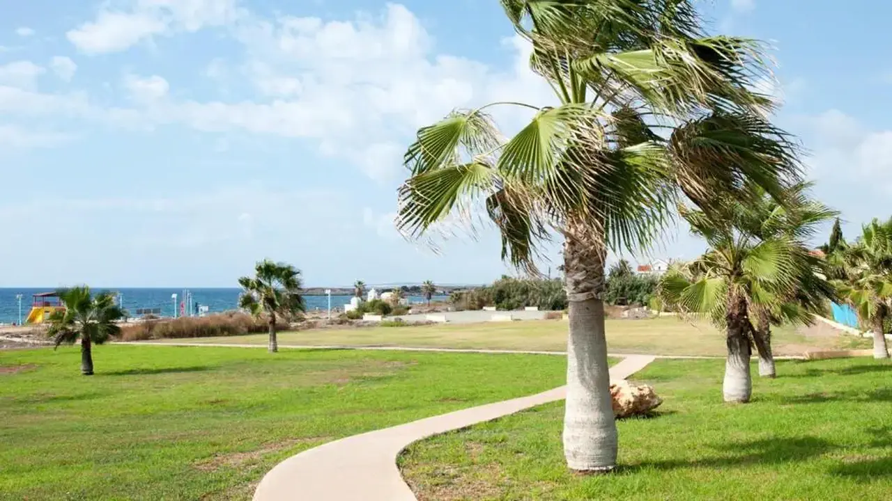 Nelia Sea Breeze