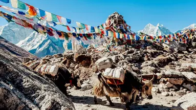 Nepal - U podnóża Himalajów
