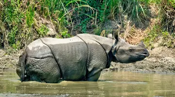 Nepal - U podnóża Himalajów