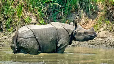 Nepal - U podnóża Himalajów