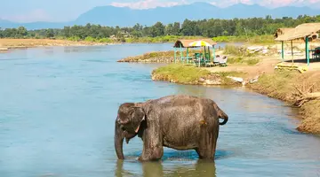 Nepal - w królestwie Himalajów