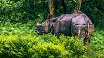 Nepal: Wędrówki i Przygody