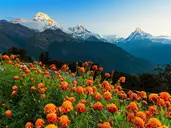 Nepal: Wędrówki i Przygody