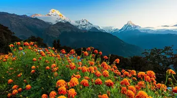 Nepal: Wędrówki i Przygody