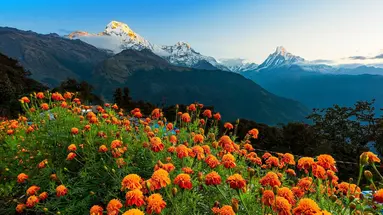 Nepal: Wędrówki i Przygody