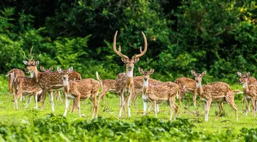 Nepal: Wędrówki i Przygody