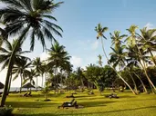 NEPTUNE PARADISE BEACH RESORT & SPA