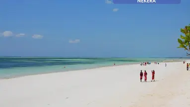 Neptune Pwani Beach Resort and Spa - All Inclusive