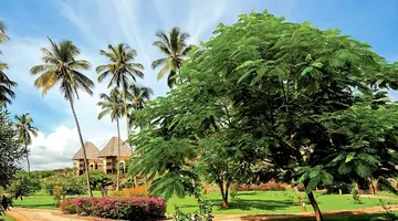 Neptune Pwani Beach Resort & Spa