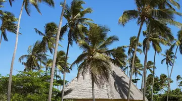 NEPTUNE PWANI BEACH RESORT & SPA