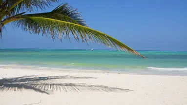 NEPTUNE PWANI BEACH RESORT & SPA