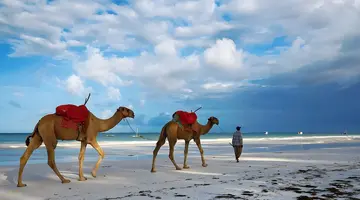 Neptune Village Beach Resort & Spa