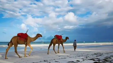 Neptune Village Beach Resort & Spa