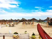 Nesrine Hammamet