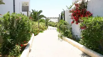 Nesrine