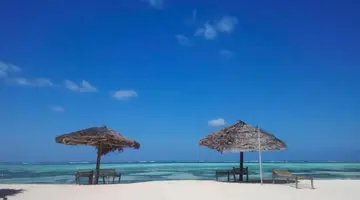 Nest Style Zanzibar