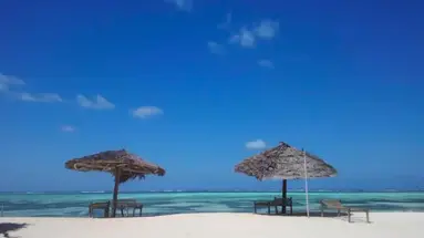 Nest Style Zanzibar