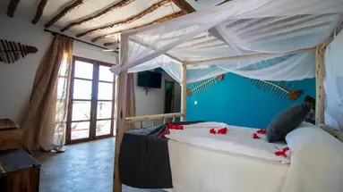 Nest Style Zanzibar