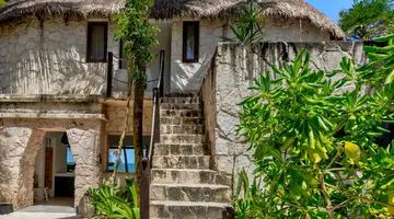 Nest Tulum