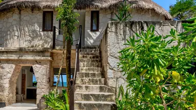 Nest Tulum