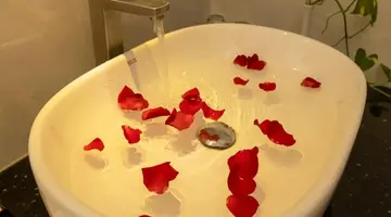NESTA HOTEL