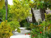 NEW JAMBO BUNGALOWS