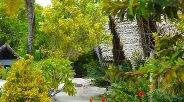 NEW JAMBO BUNGALOWS