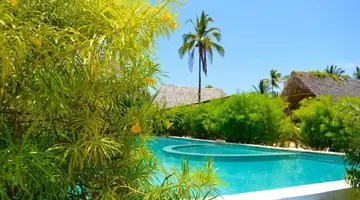 NEW JAMBO BUNGALOWS